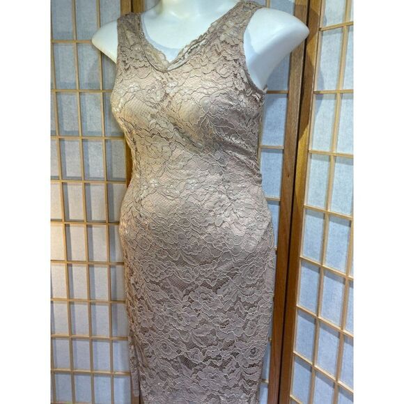 Blu Sage Sz 14 Lace Dress - Picture 1 of 13